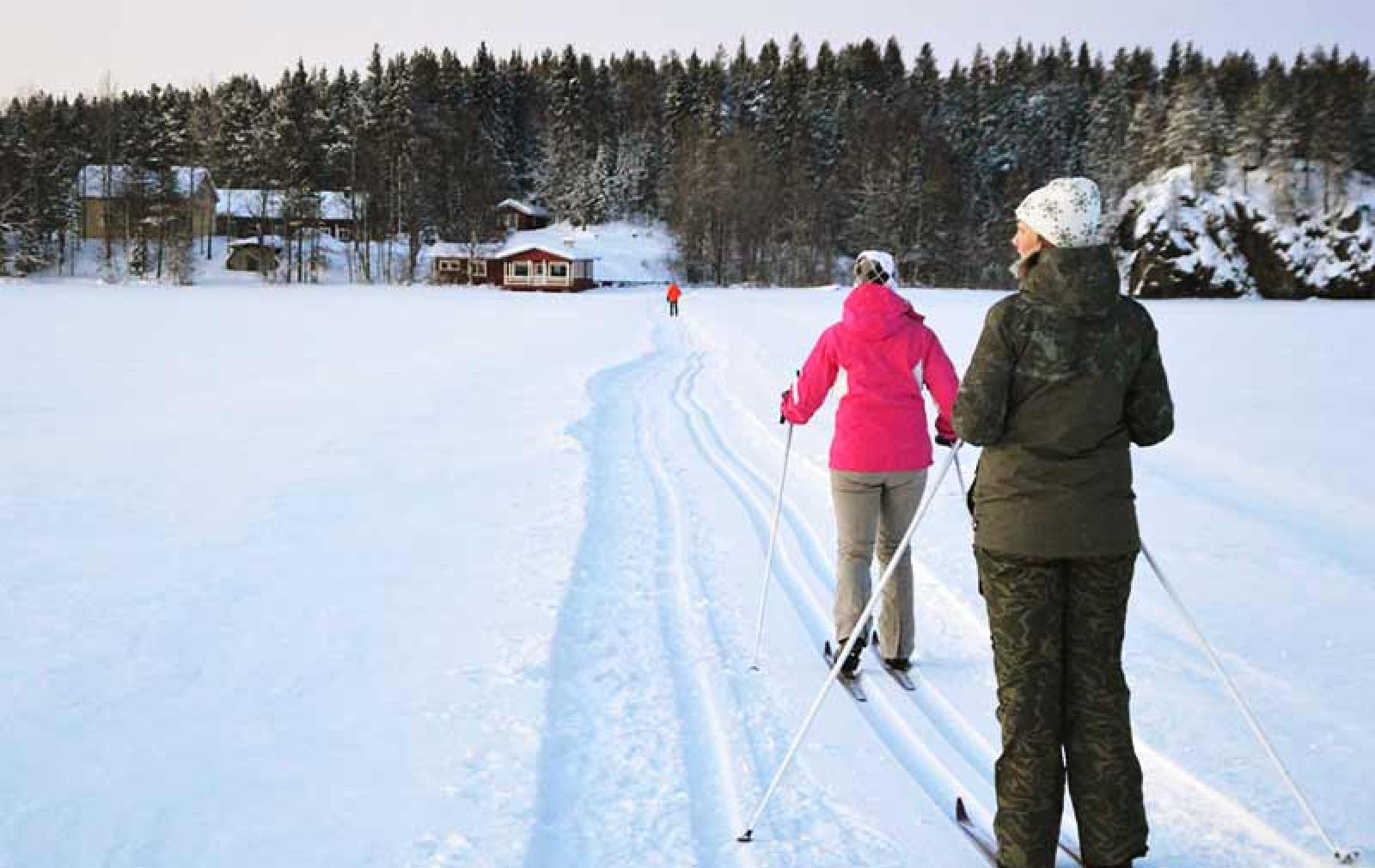 Ski in the Oulanka National Park